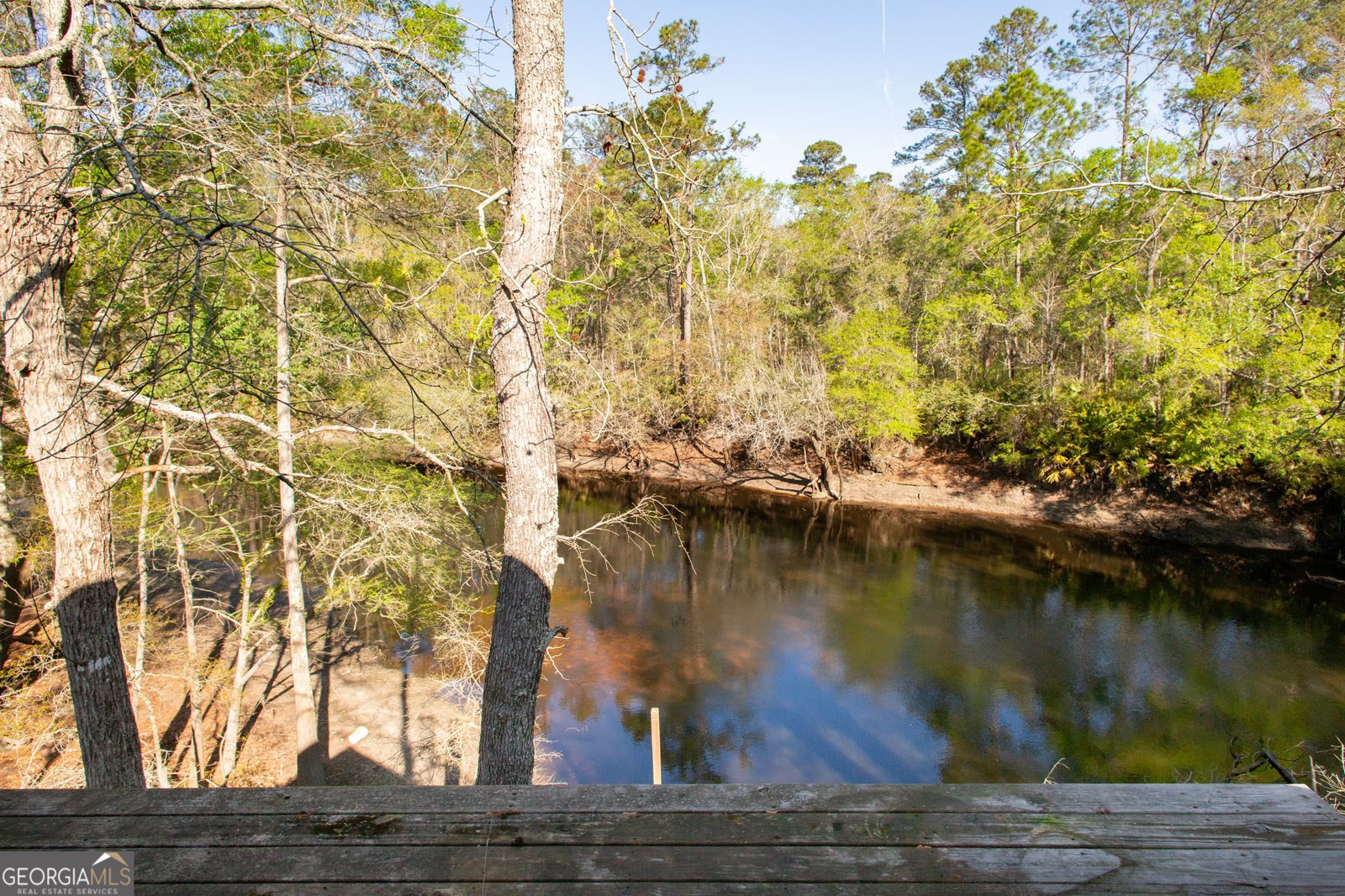 3670 Augusta Springs Drive Waycross - Photo 43