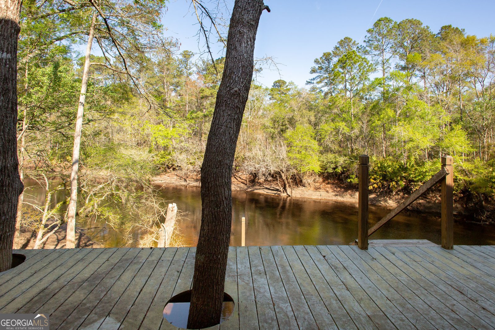 3670 Augusta Springs Drive Waycross - Photo 44