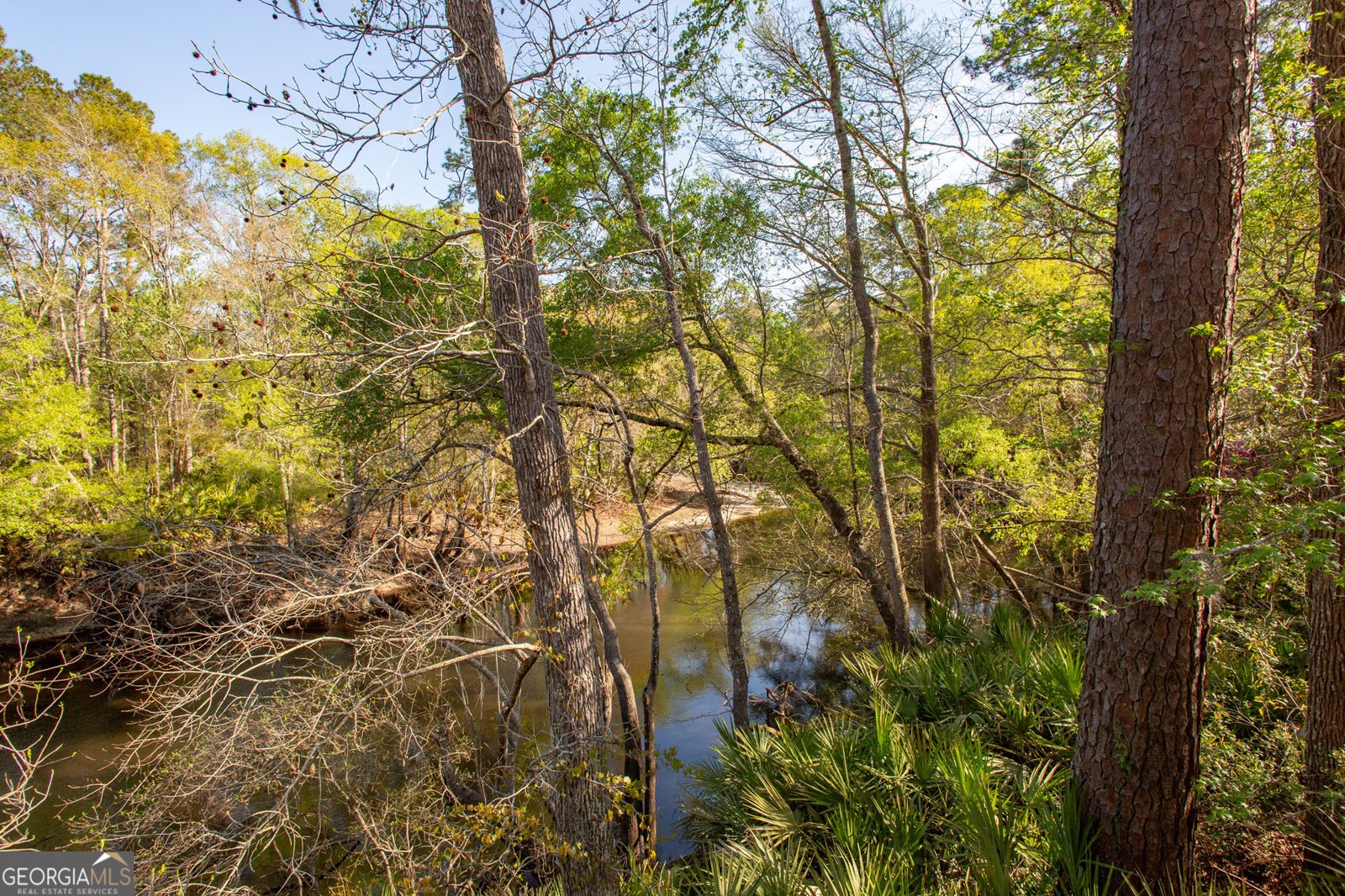 3670 Augusta Springs Drive Waycross - Photo 45