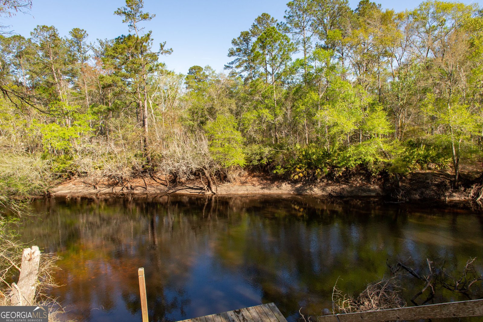 3670 Augusta Springs Drive Waycross - Photo 47
