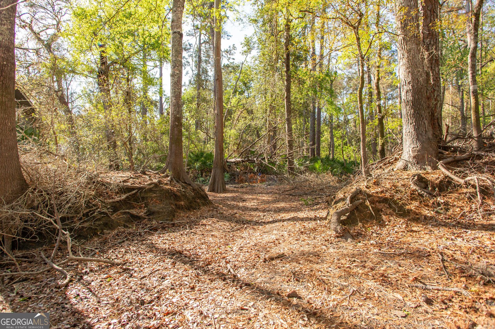 3670 Augusta Springs Drive Waycross - Photo 59