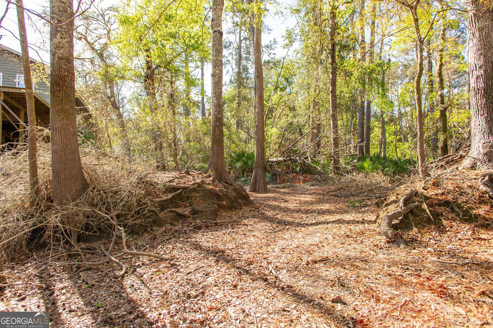 3670 Augusta Springs Drive Waycross - Photo 60