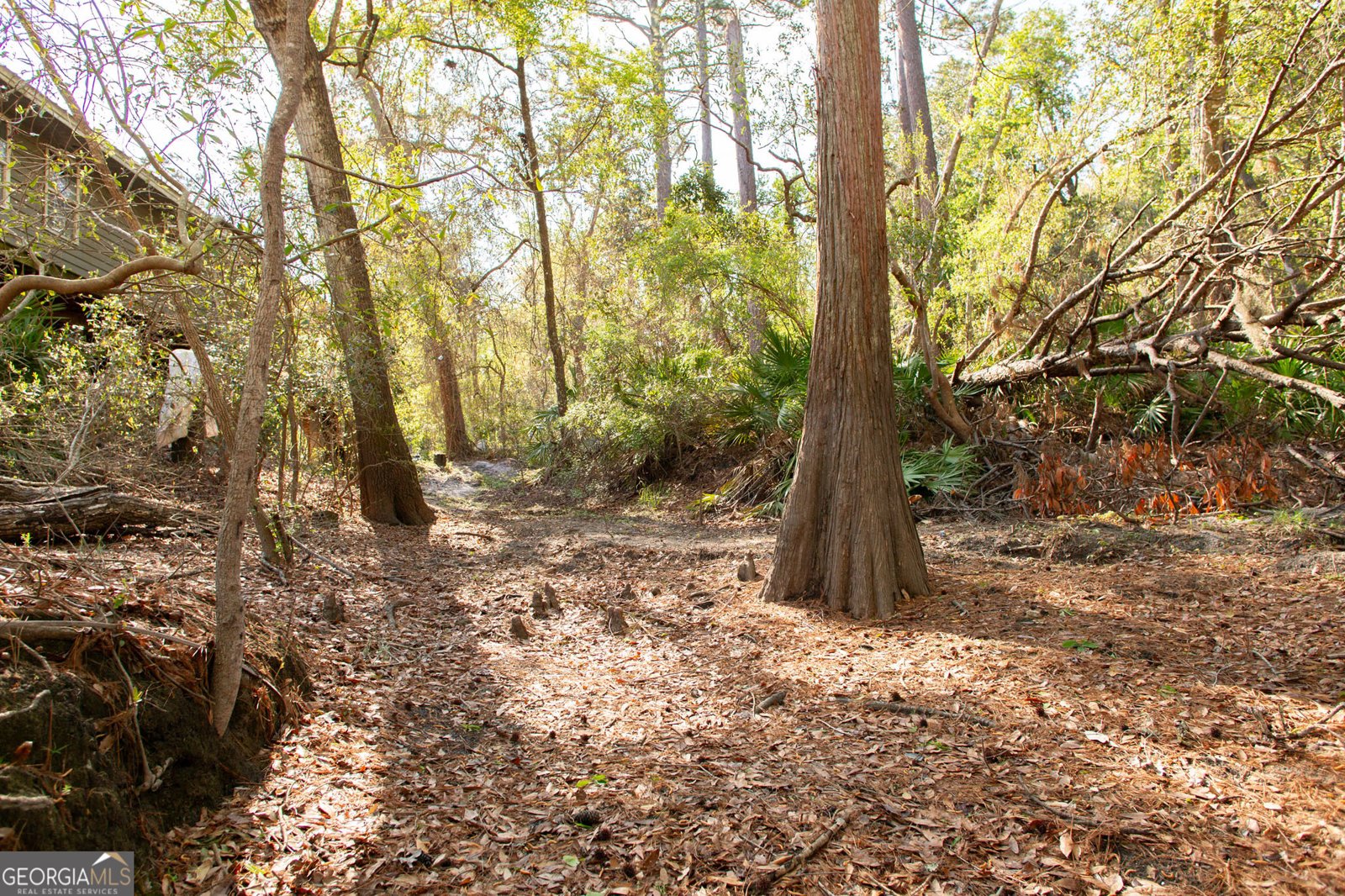 3670 Augusta Springs Drive Waycross - Photo 62