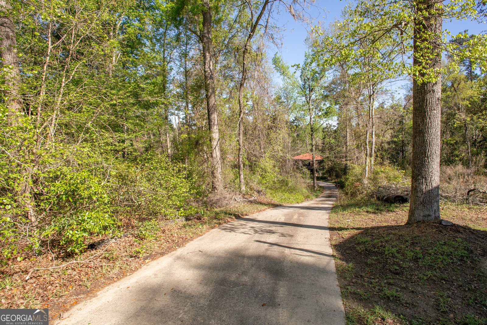 3670 Augusta Springs Drive Waycross - Photo 63