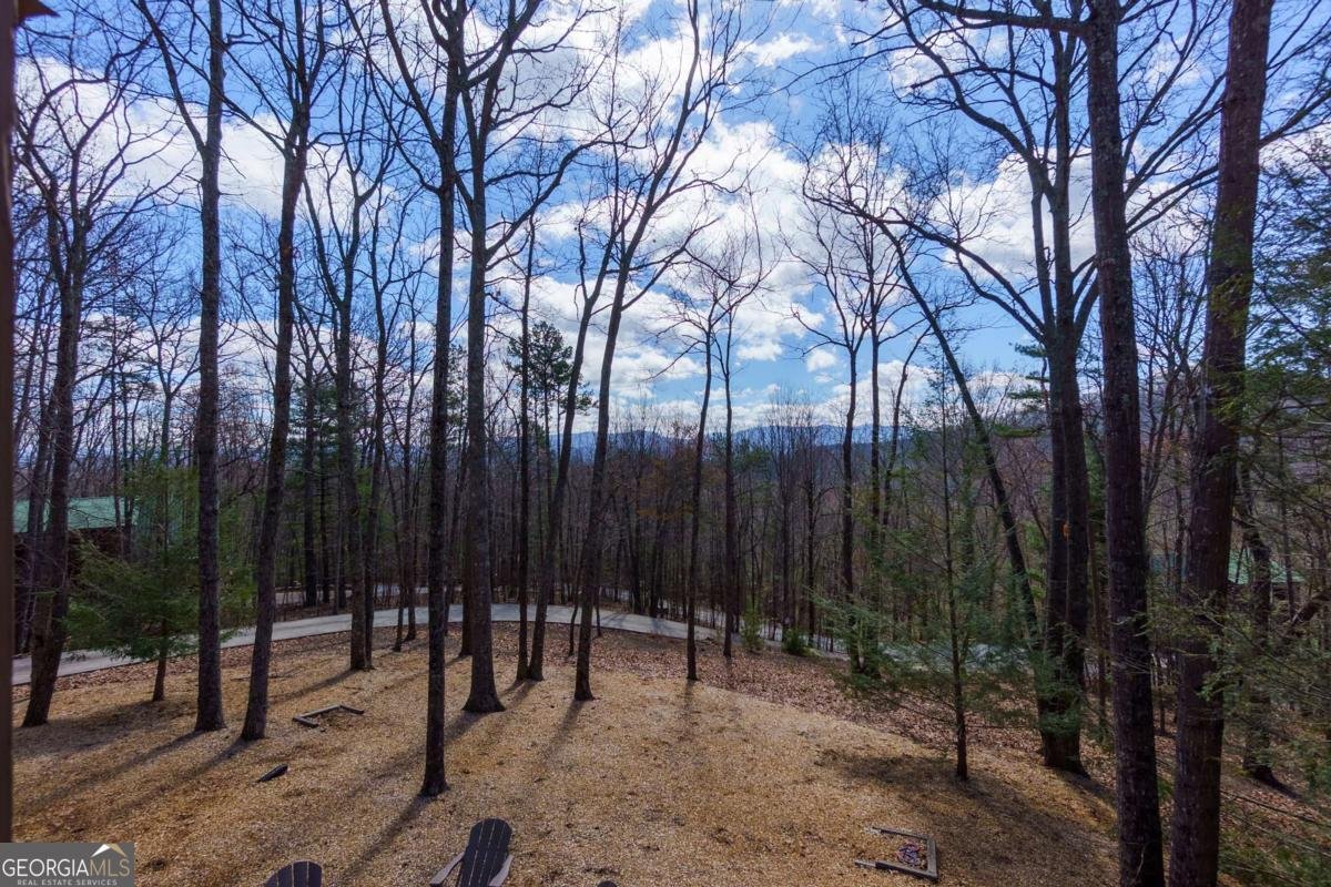 494 Lower Prince Mountain Road Cherry Log - Photo 10