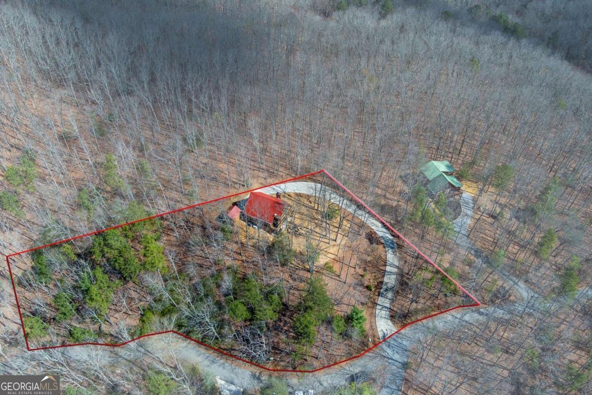 494 Lower Prince Mountain Road Cherry Log - Photo 12