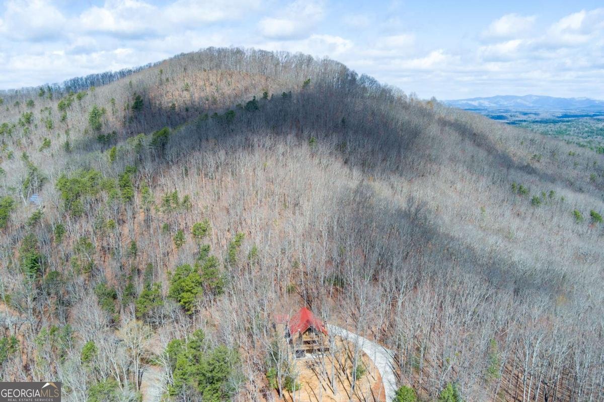 494 Lower Prince Mountain Road Cherry Log - Photo 9