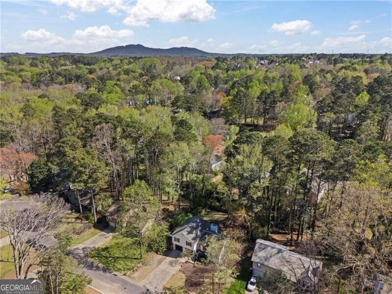 3065 Sumit Wood Drive Kennesaw - Photo 36