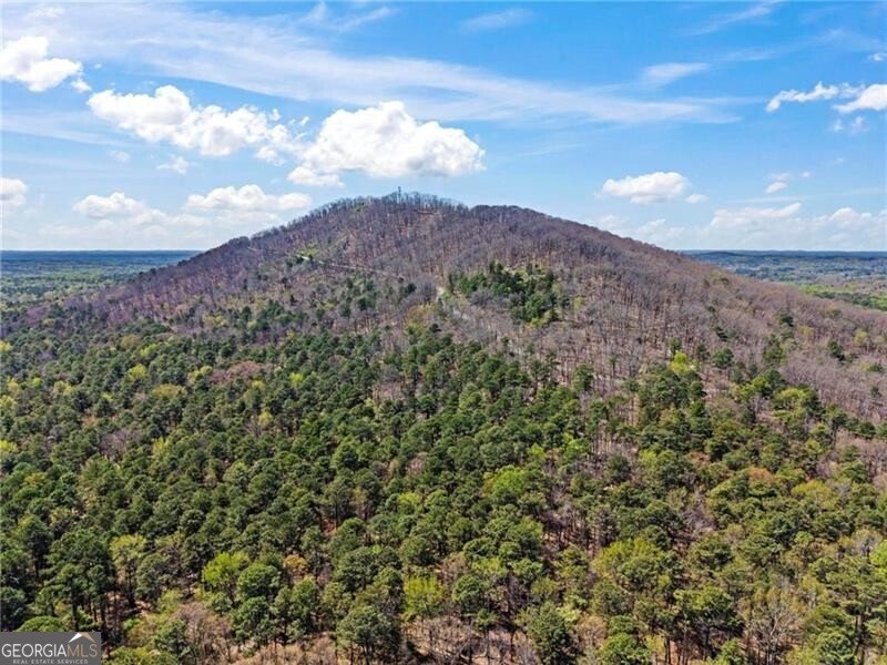 3065 Sumit Wood Drive Kennesaw - Photo 39