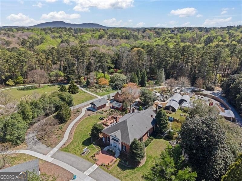 3065 Sumit Wood Drive Kennesaw - Photo 41