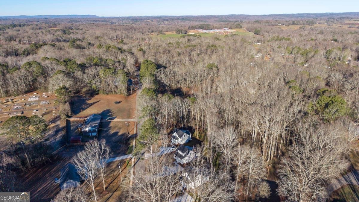 479 West Avenue Bowdon - Photo 40