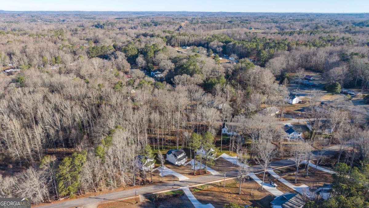 479 West Avenue Bowdon - Photo 42