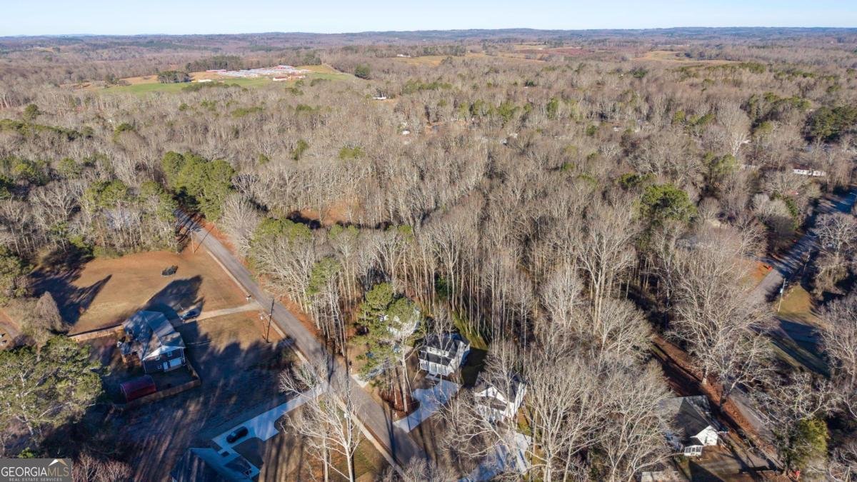 479 West Avenue Bowdon - Photo 43