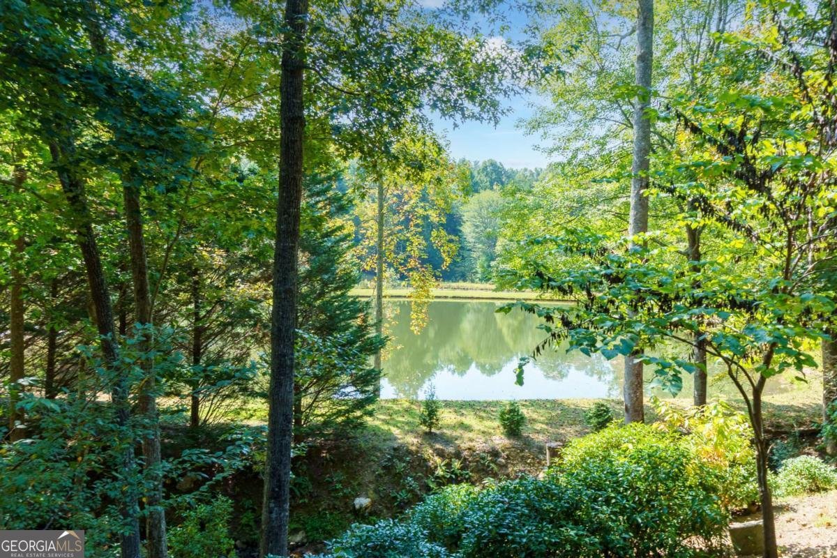 35 Wunder Bear Ridge Road Morganton - Photo 9