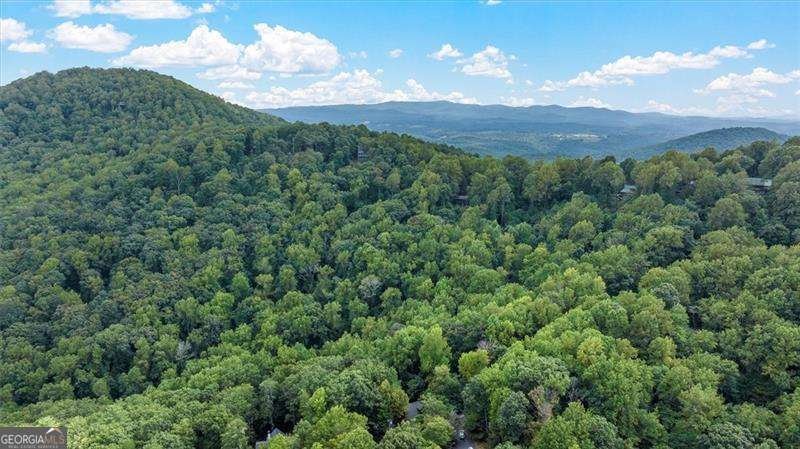 1083 Mountain Oak Road Ellijay - Photo 37