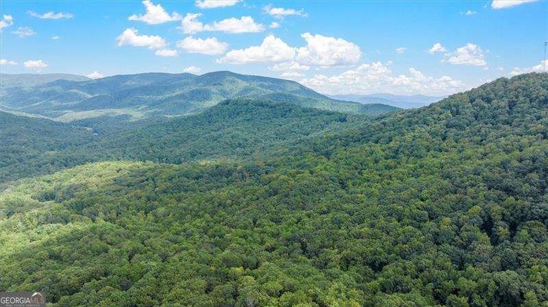 1083 Mountain Oak Road Ellijay - Photo 38