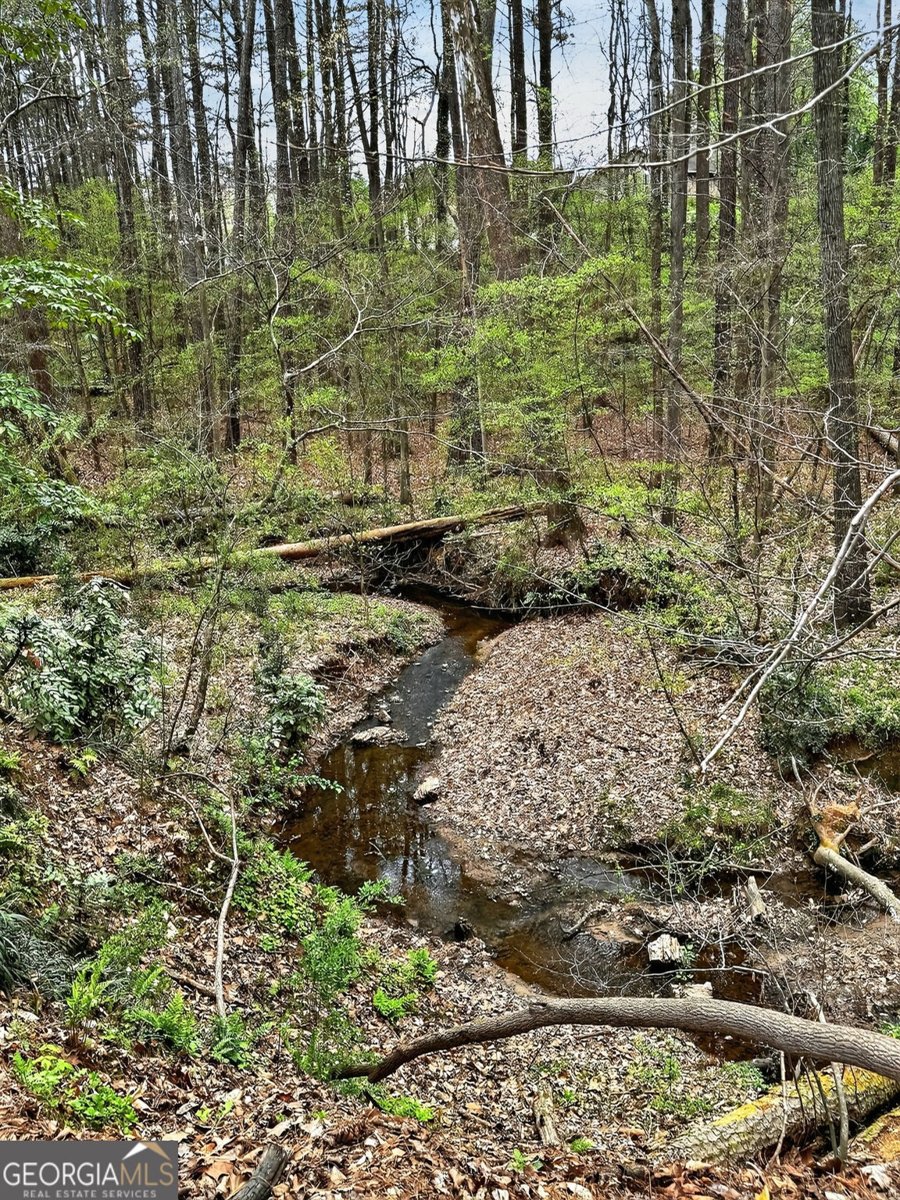 596 Willowgreen Court Conyers - Photo 62