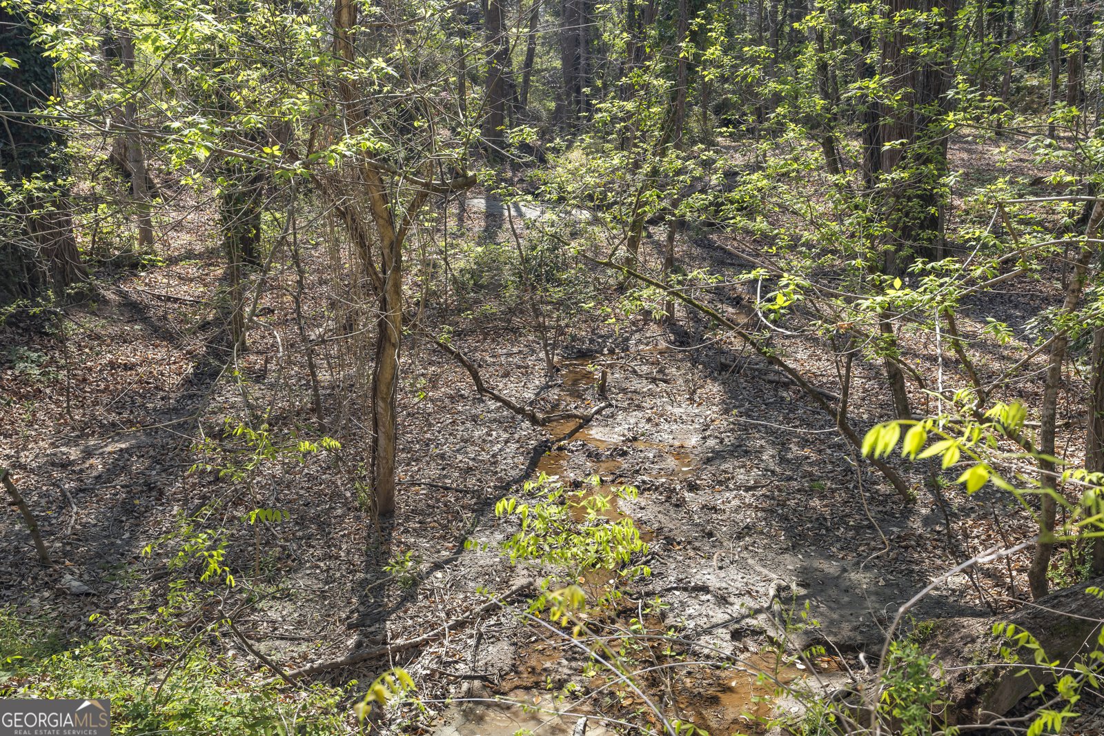 1310 Ivywood Drive Athens - Photo 93