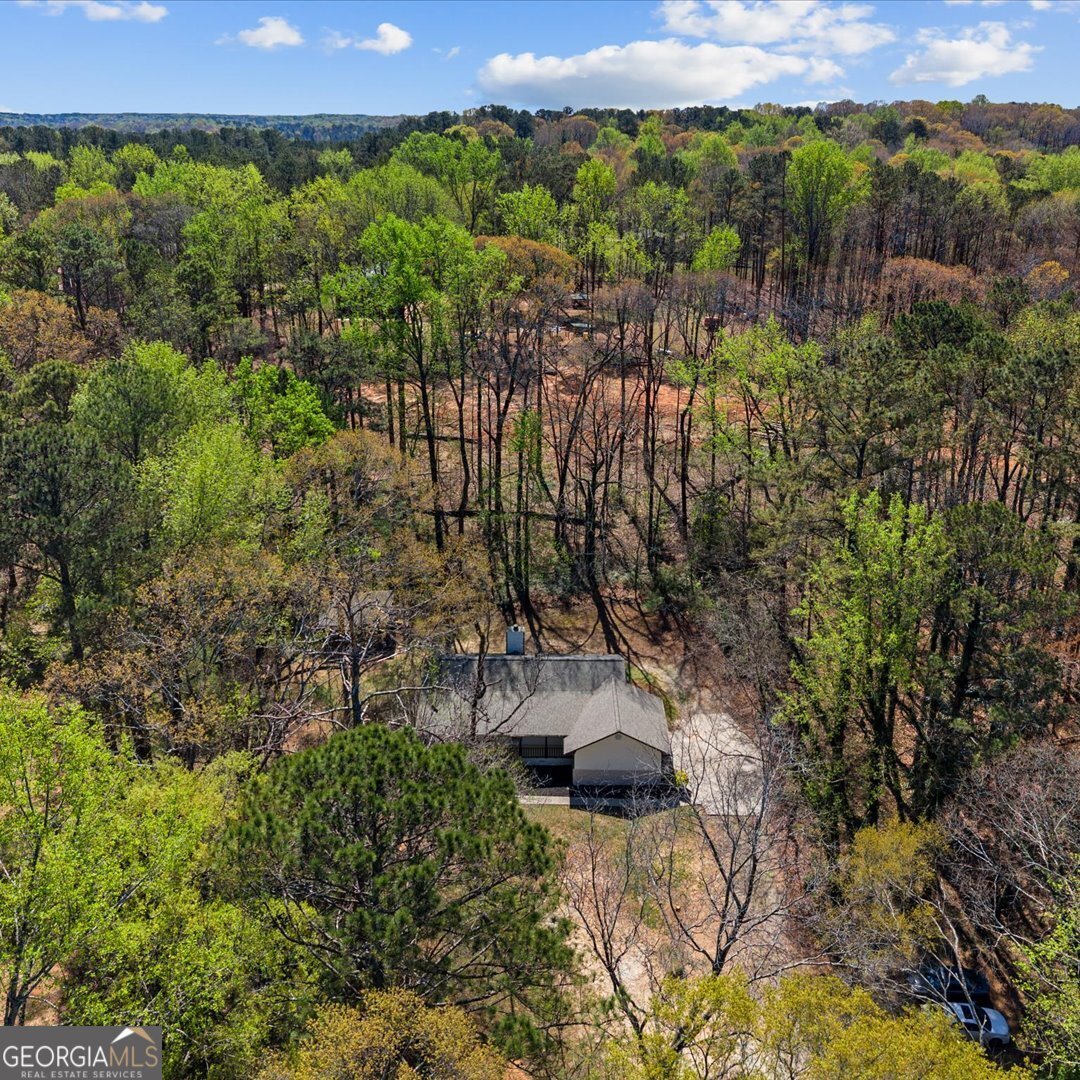 5350 Hearn Road Ellenwood - Photo 57