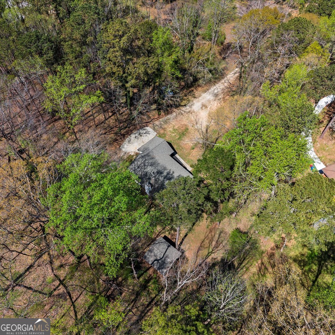 5350 Hearn Road Ellenwood - Photo 59