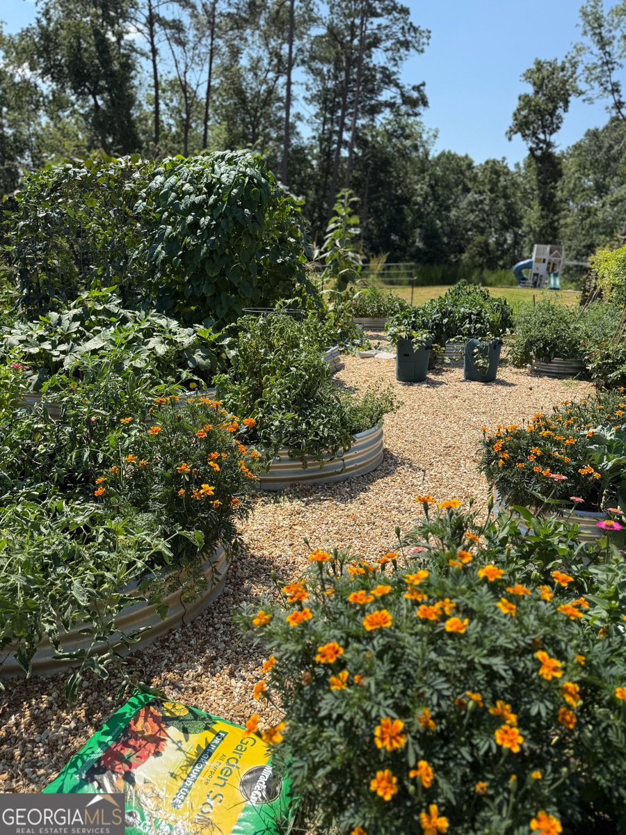 864 Overlook Trail Acworth - Photo 41