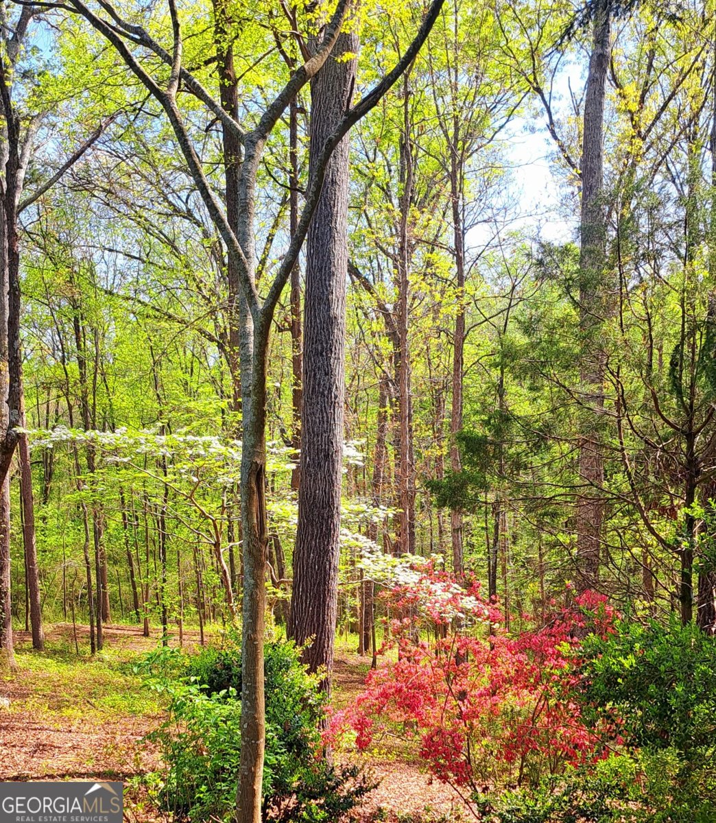 2811 Ike Stone Road Monroe - Photo 24