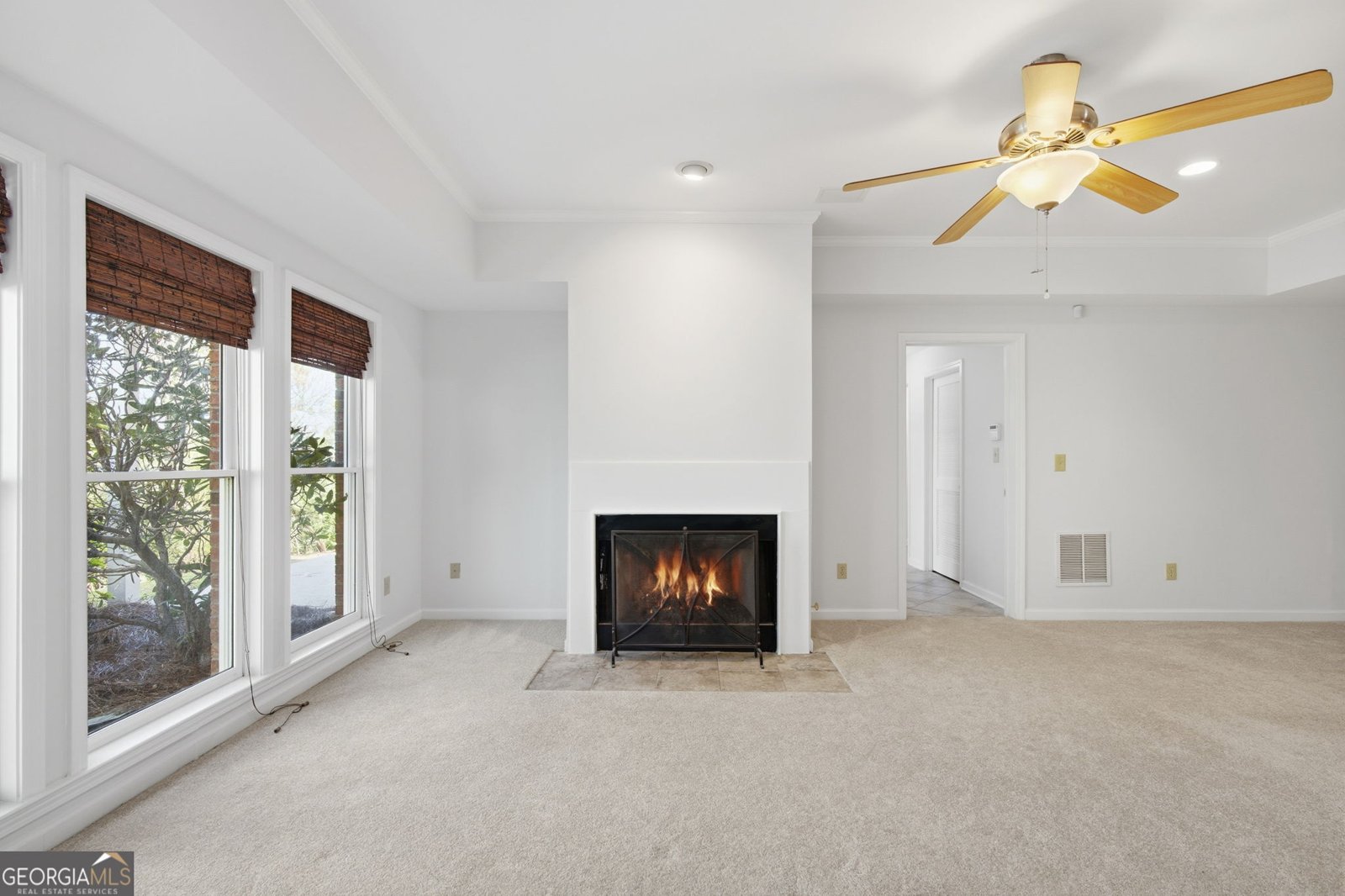 8655 Hope Vine Roswell - Photo 42