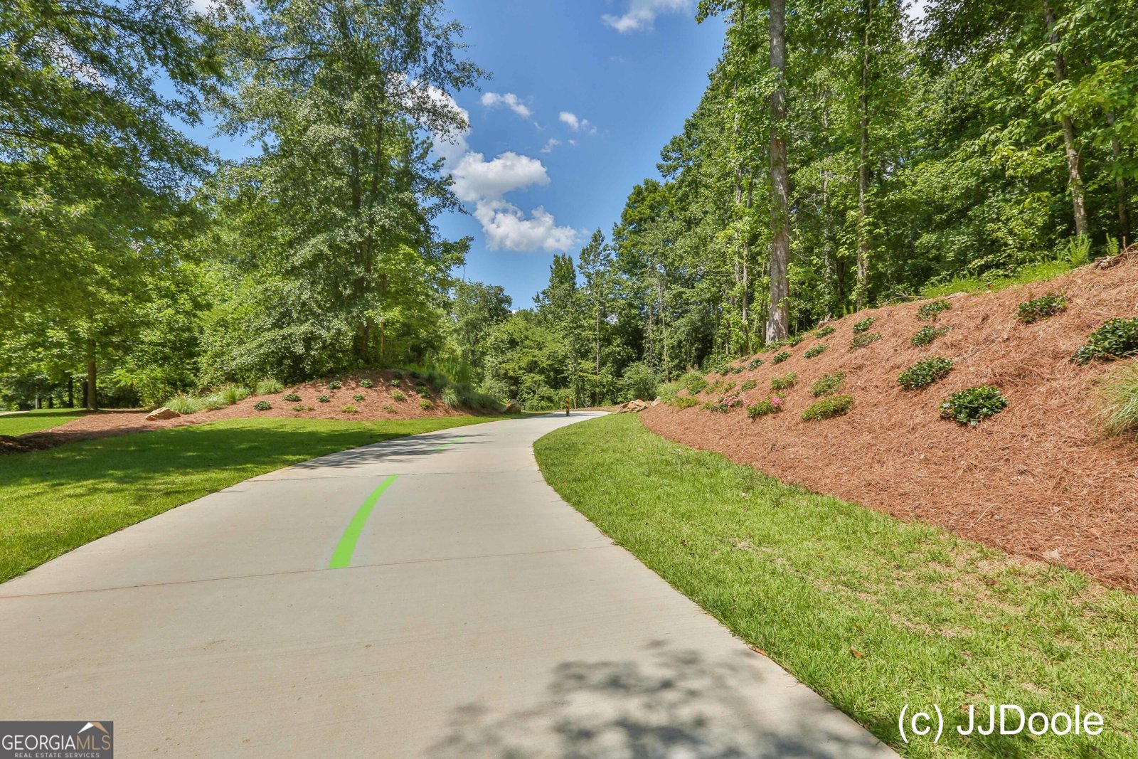 40 Hidden Woods Lane Newnan - Photo 102