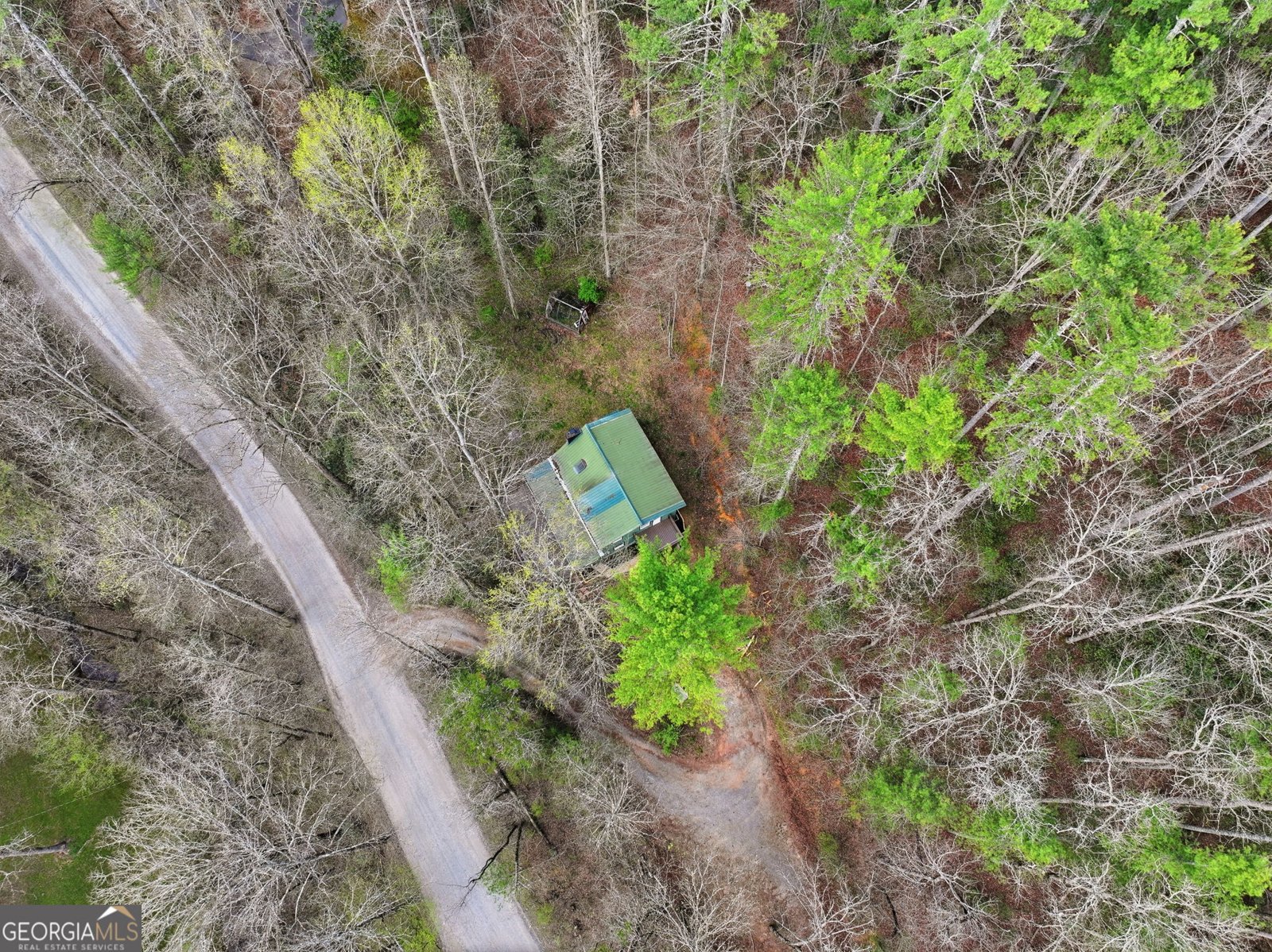 1780 Conasauga Road Ellijay - Photo 2