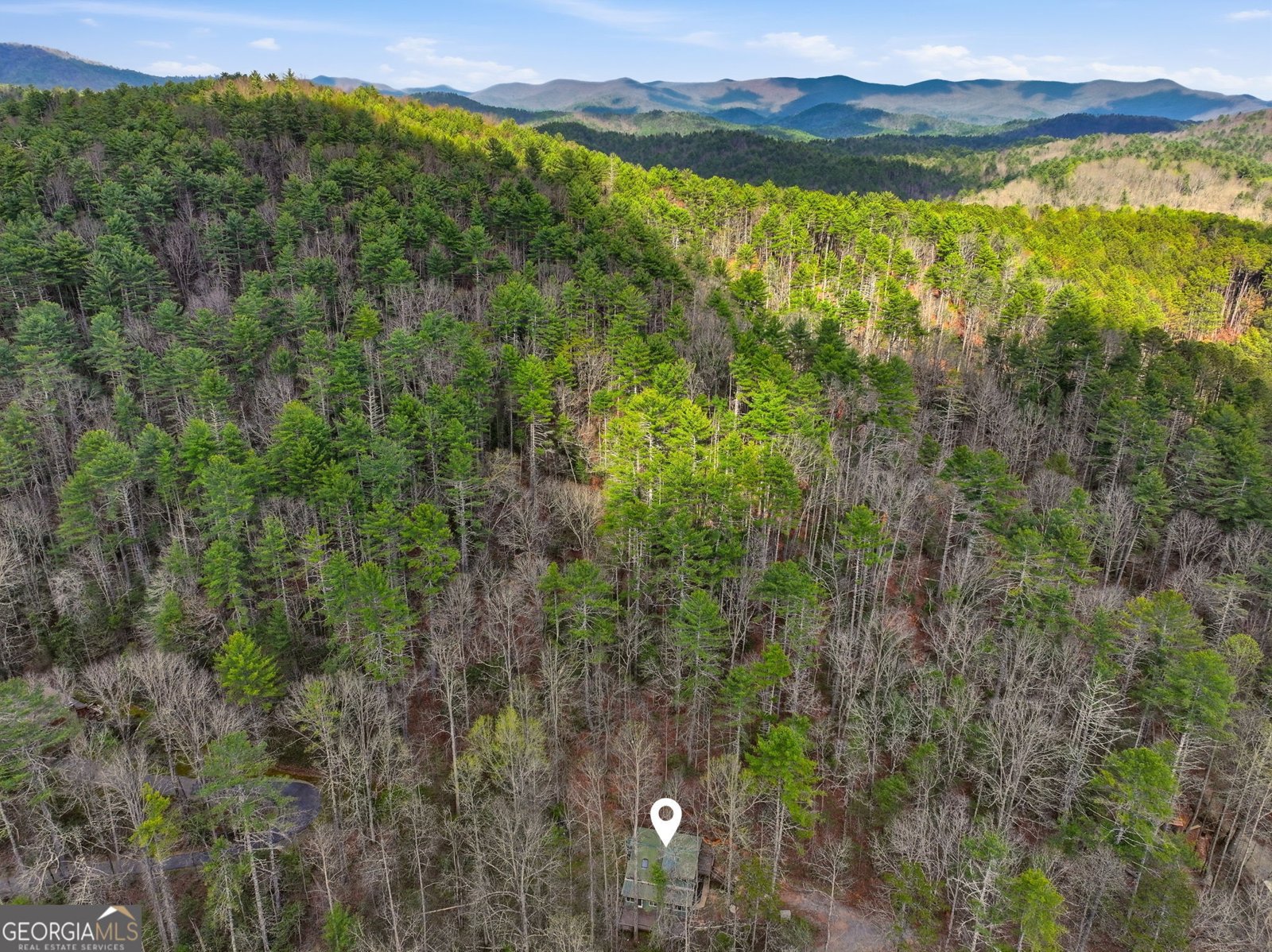 1780 Conasauga Road Ellijay - Photo 3