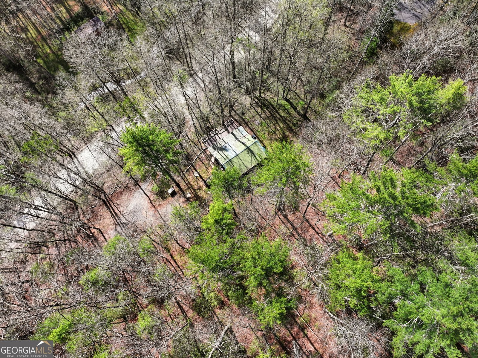 1780 Conasauga Road Ellijay - Photo 42