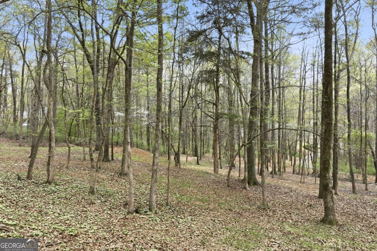 1111 Thornwell Drive Athens - Photo 14