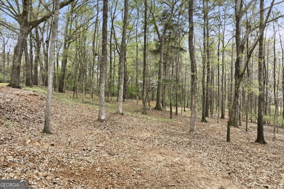 1111 Thornwell Drive Athens - Photo 15