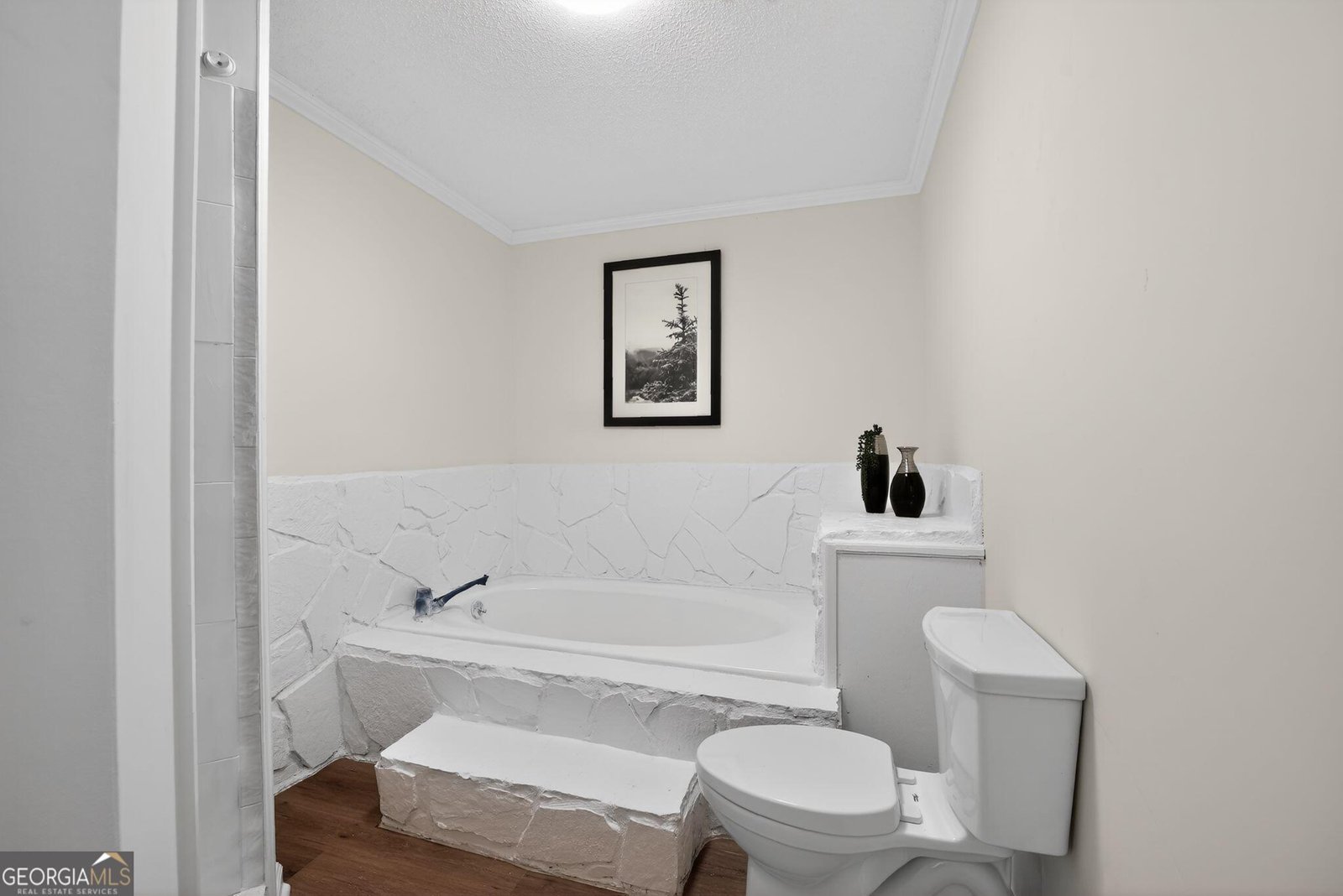 12 Clearwater Road Sharpsburg - Photo 21