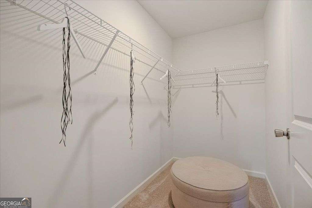 2551 RIVERSIDE Road Conyers - Photo 24