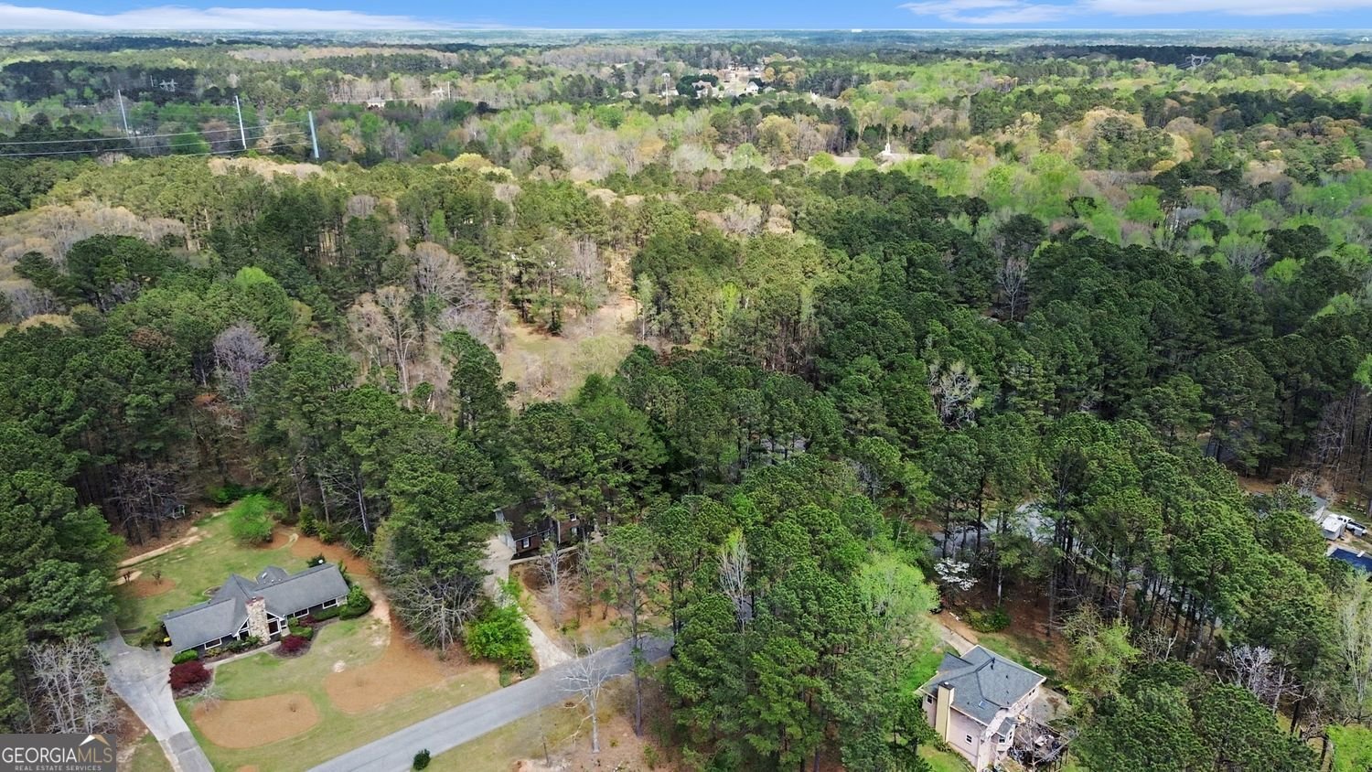 175 Woodsong Drive Fayetteville - Photo 35