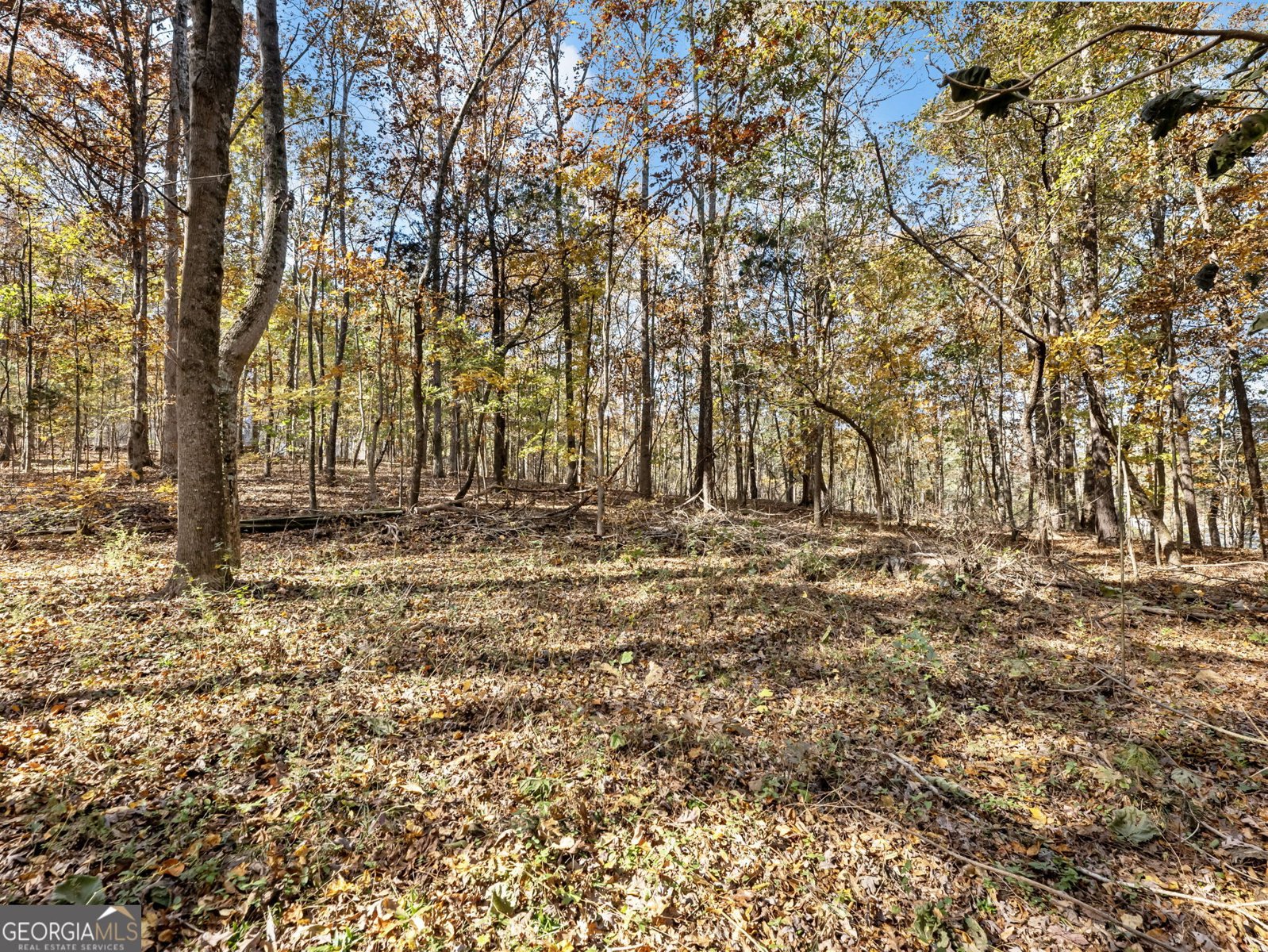 222 HEMLOCK Drive Stockbridge - Photo 43