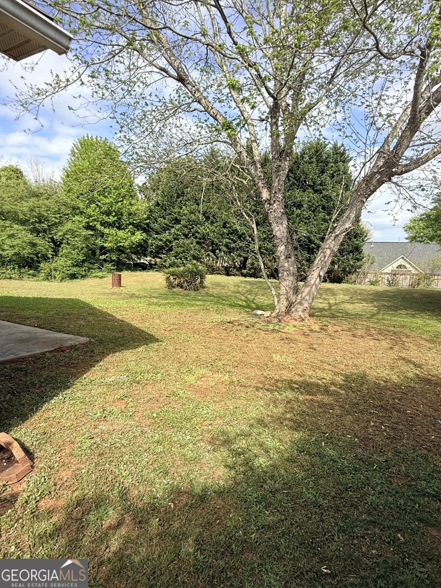 637 Everlasting Way Locust Grove - Photo 6