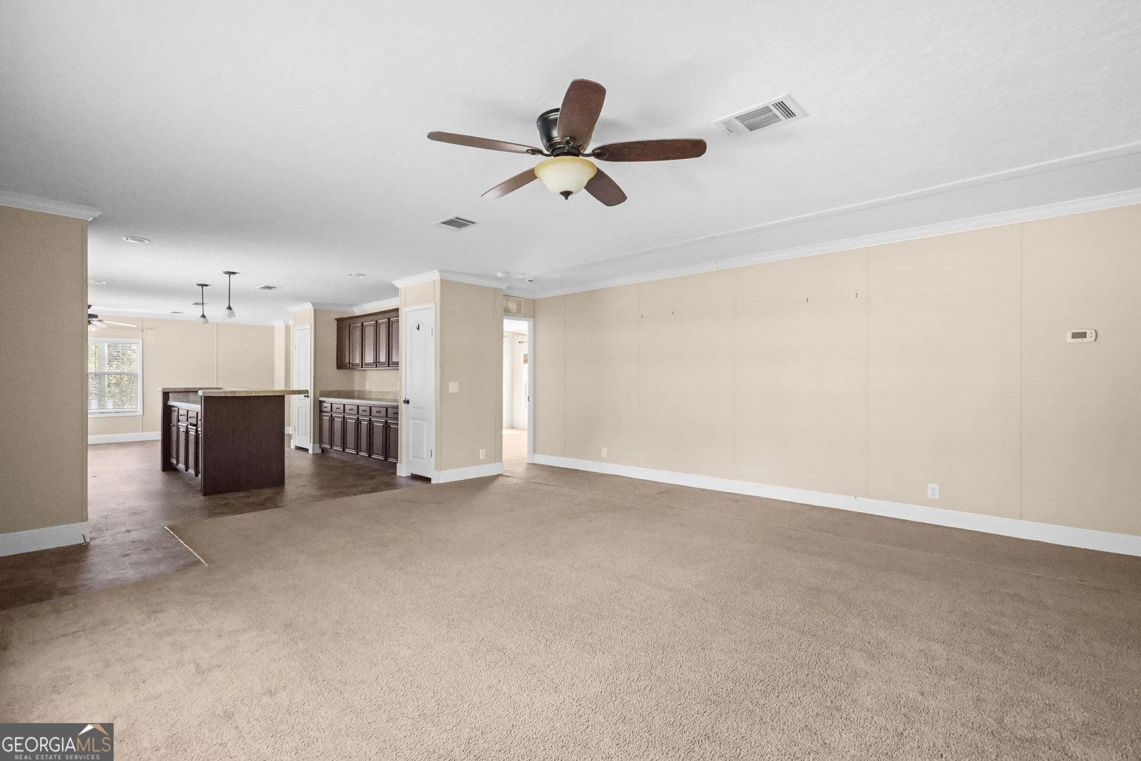 611 Sandy Run Road Jesup - Photo 6