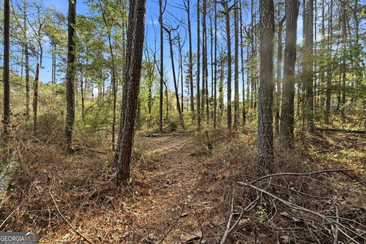 2452 Camp Mitchell Road Grayson - Photo 76