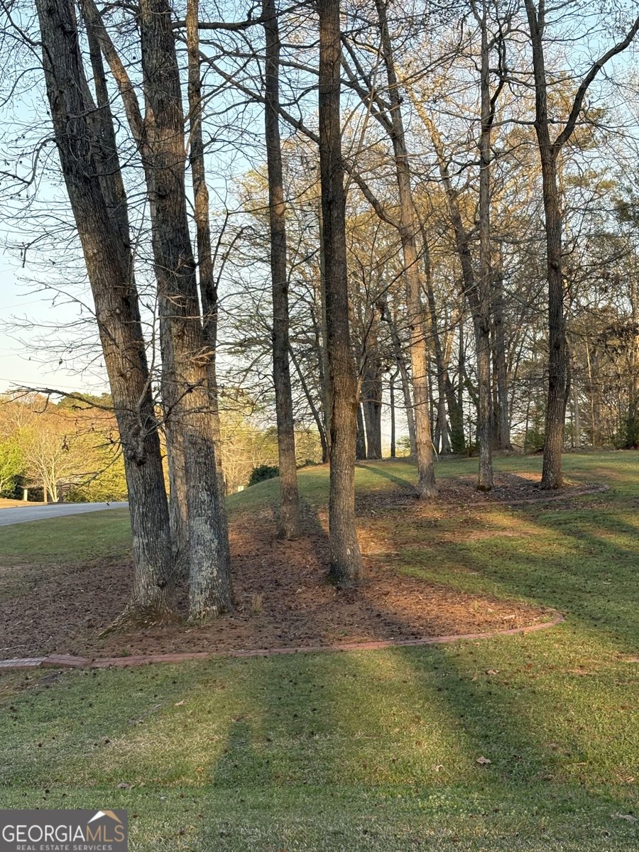 206 Oxford Road Griffin - Photo 28