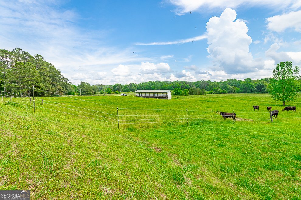 721 Gowan Road Lafayette - Photo 16