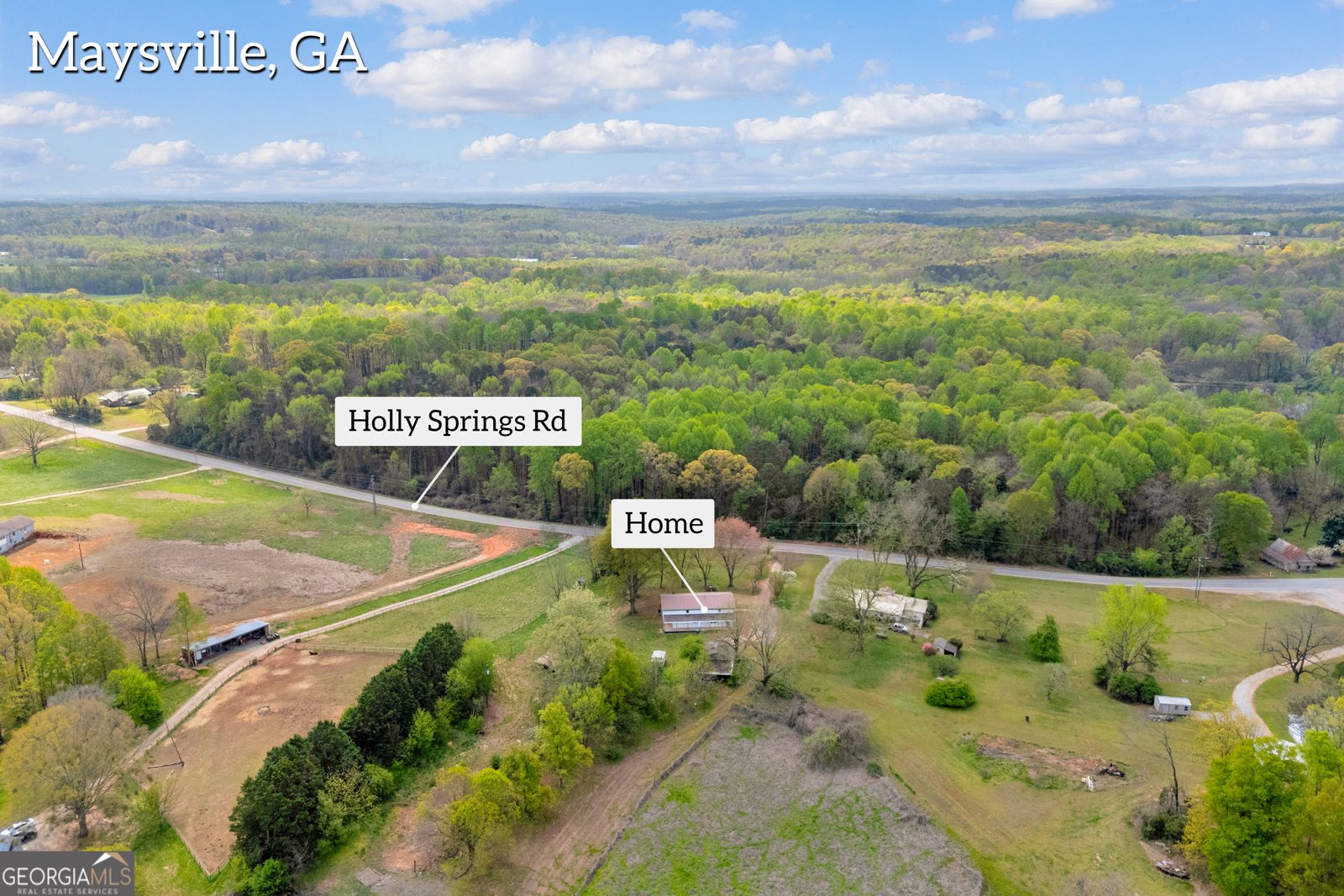 8606 Holly Springs Road Maysville - Photo 9