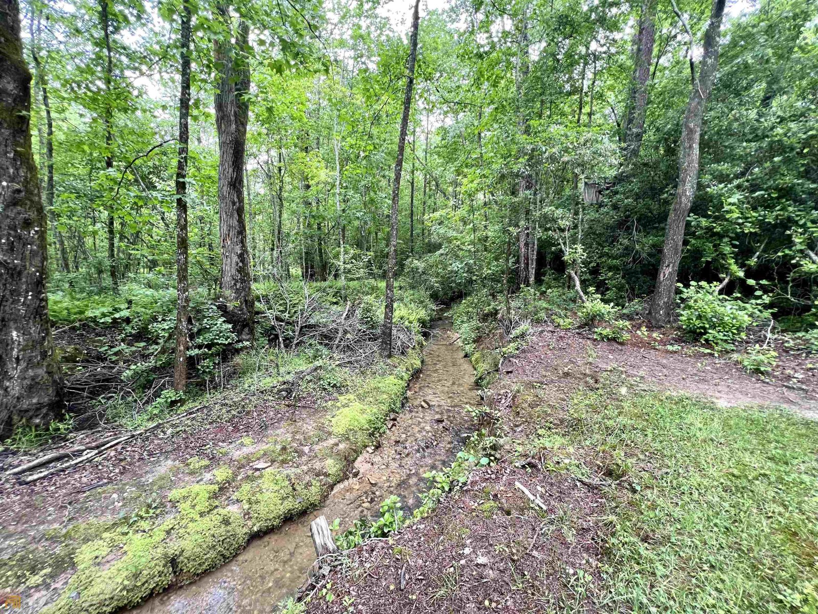 186 Holly Lane Cleveland - Photo 43