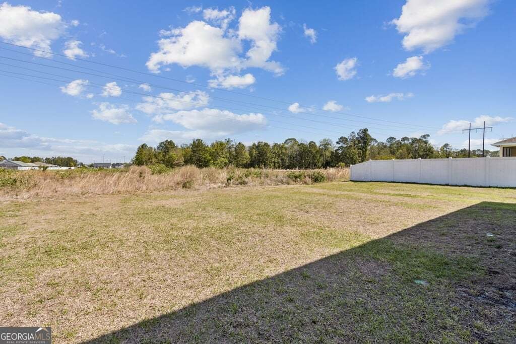 151 College Street Kingsland - Photo 57