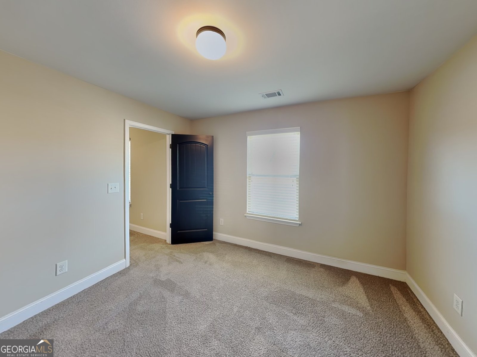 403 Strawberry Walk Loganville - Photo 12