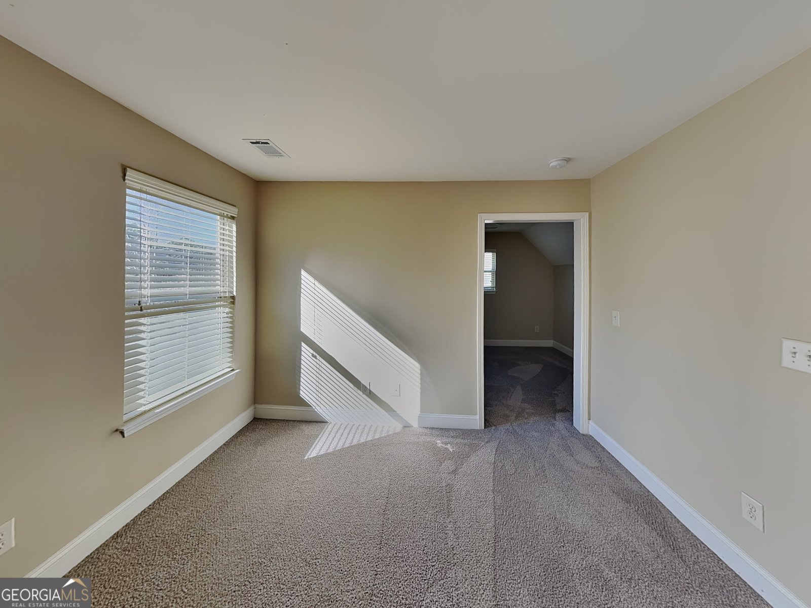 403 Strawberry Walk Loganville - Photo 13