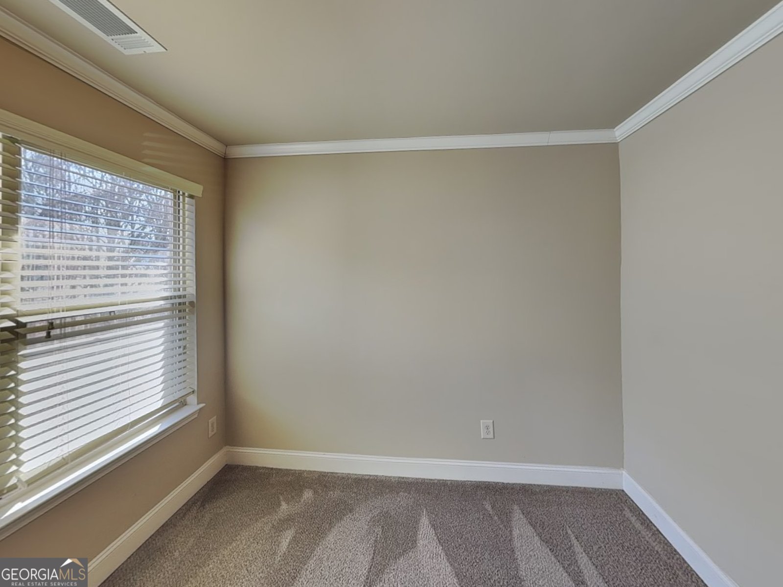 403 Strawberry Walk Loganville - Photo 20