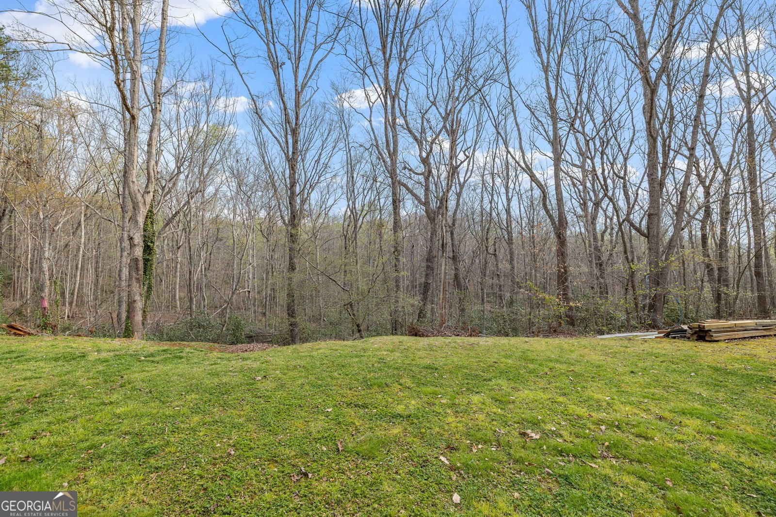 401 Otis Brown Road Baldwin - Photo 21