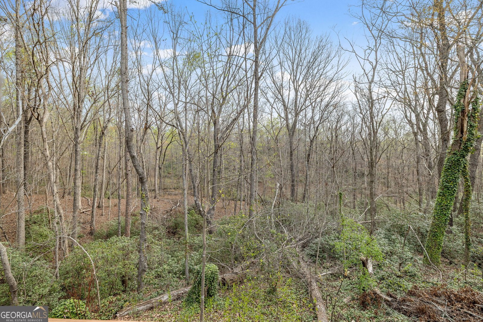 401 Otis Brown Road Baldwin - Photo 23
